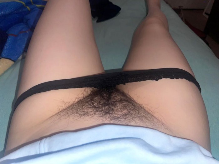 волосатая киска под трусиками