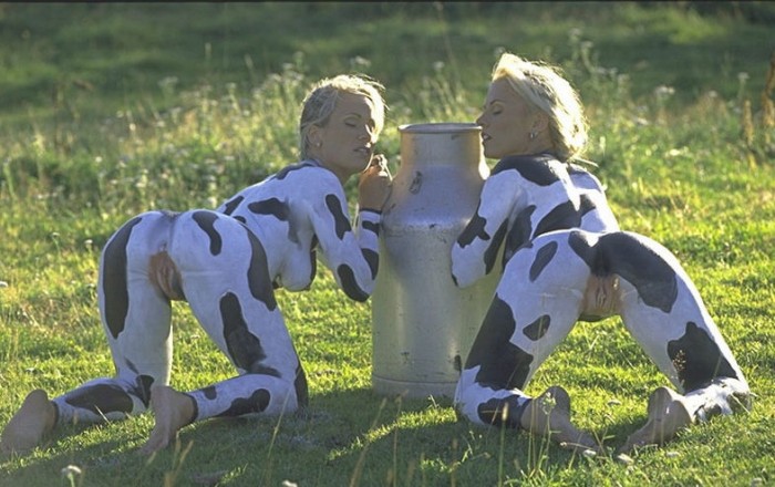 Телочки на лугу