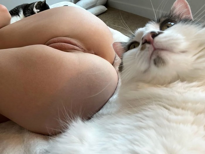 Beauty nude pussy
