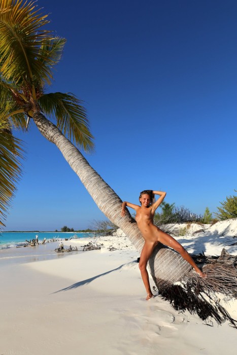 naked girl near a palm tree on the shore